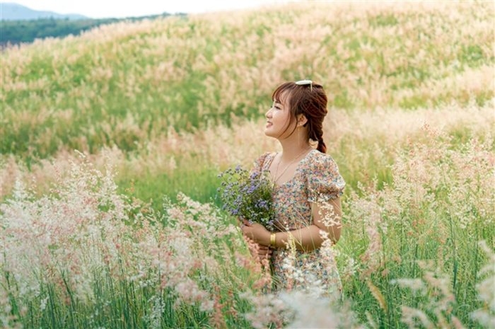 Gia Lai: Đồi cỏ hồng Chư Sê đẹp mơ màng nằm giữa núi rừng hút hồn du khách