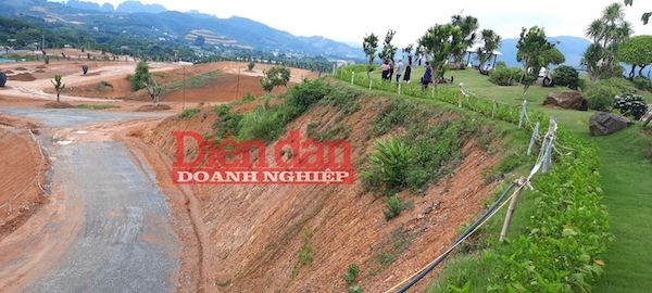 LOẠN DỰ ÁN 