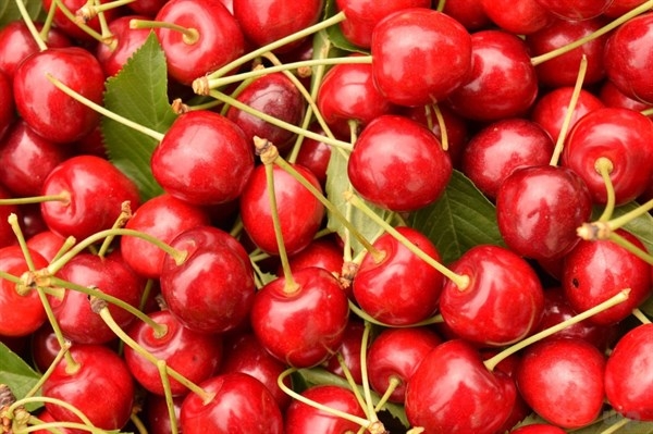 5 loại quả nhất định phải ăn, có ích hơn mỹ phẩm cao cấp