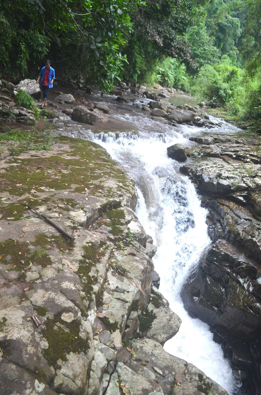 Rừng tự nhiên Hà Lâu Rừng tự nhiên Hà Lâu