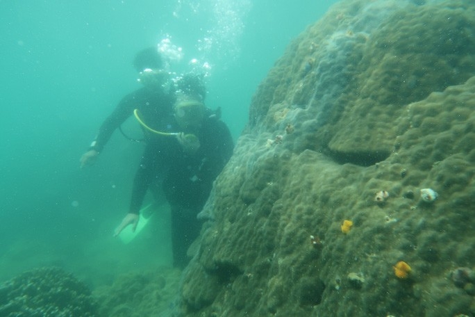 Du lịch xanh - Xu hướng tất yếu