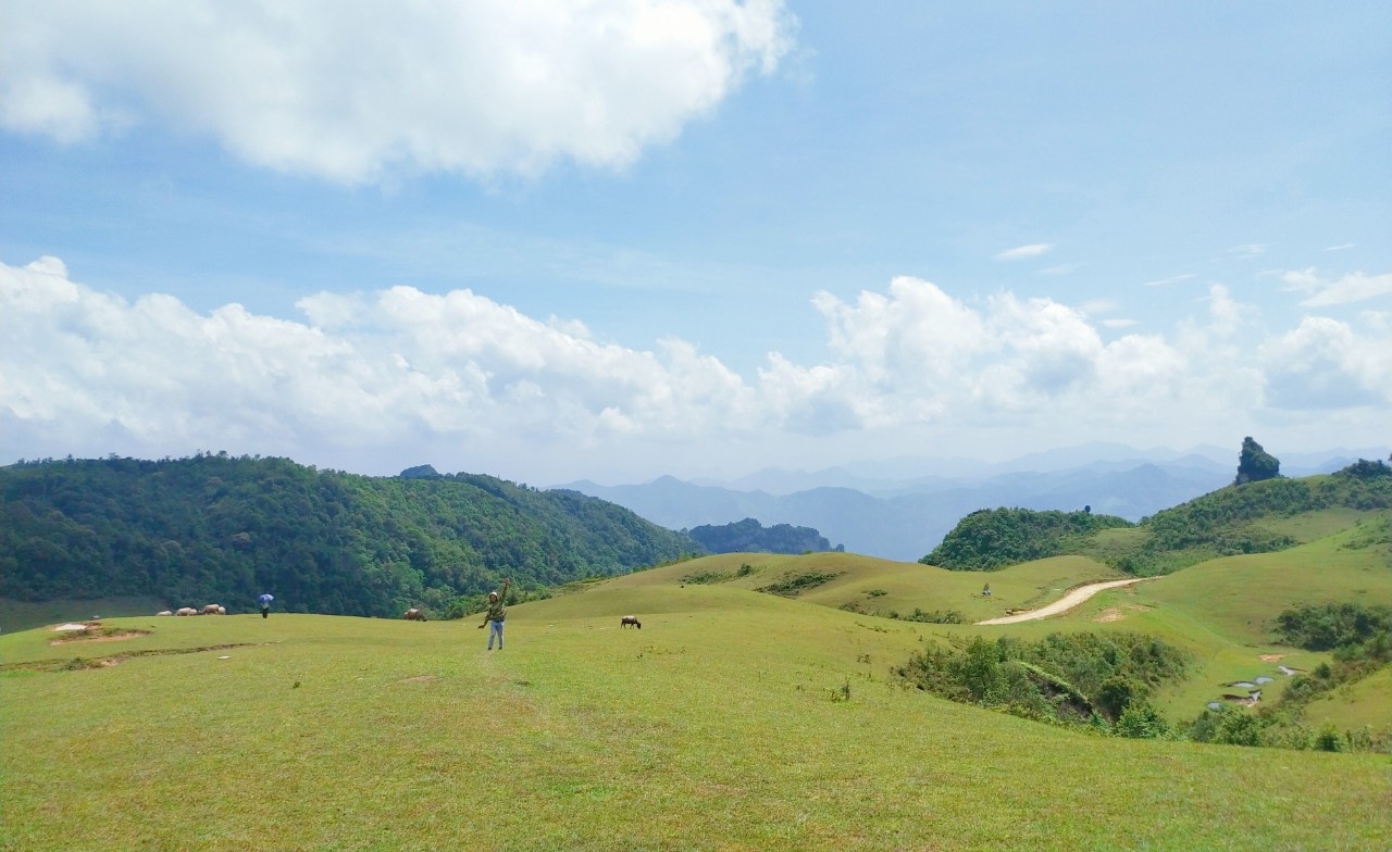 Thảo nguyên xanh bất tận tại Phan Thanh, Nguyên Bình Thảo nguyên xanh bất tận tại Phan Thanh, Nguyên Bình