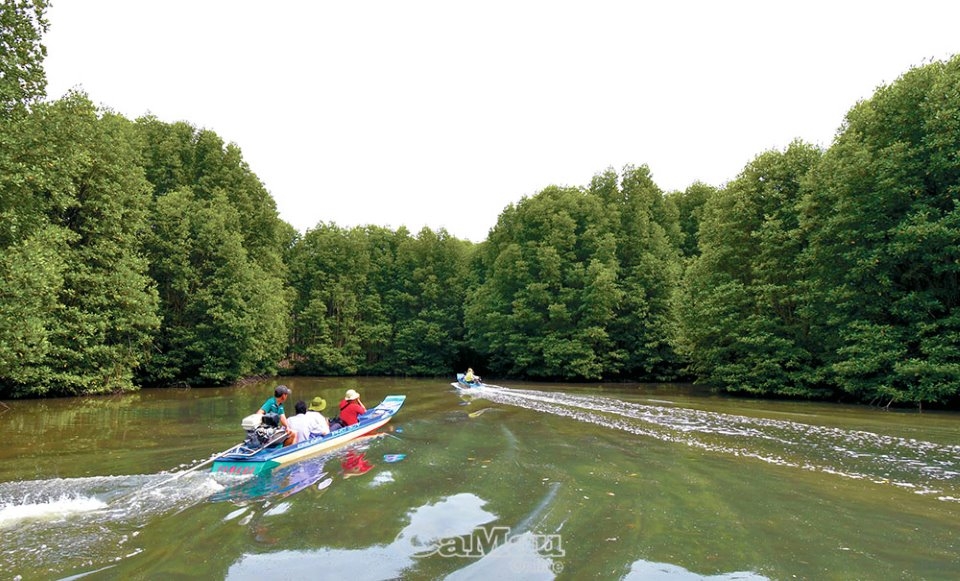 Những cánh chim Ðất Mũi Những cánh chim Ðất Mũi