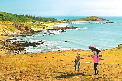 Vẻ đẹp hoang sơ của Mũi Yến