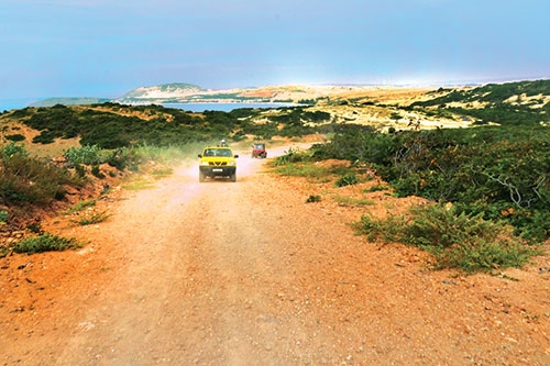 Vẻ đẹp hoang sơ của Mũi Yến