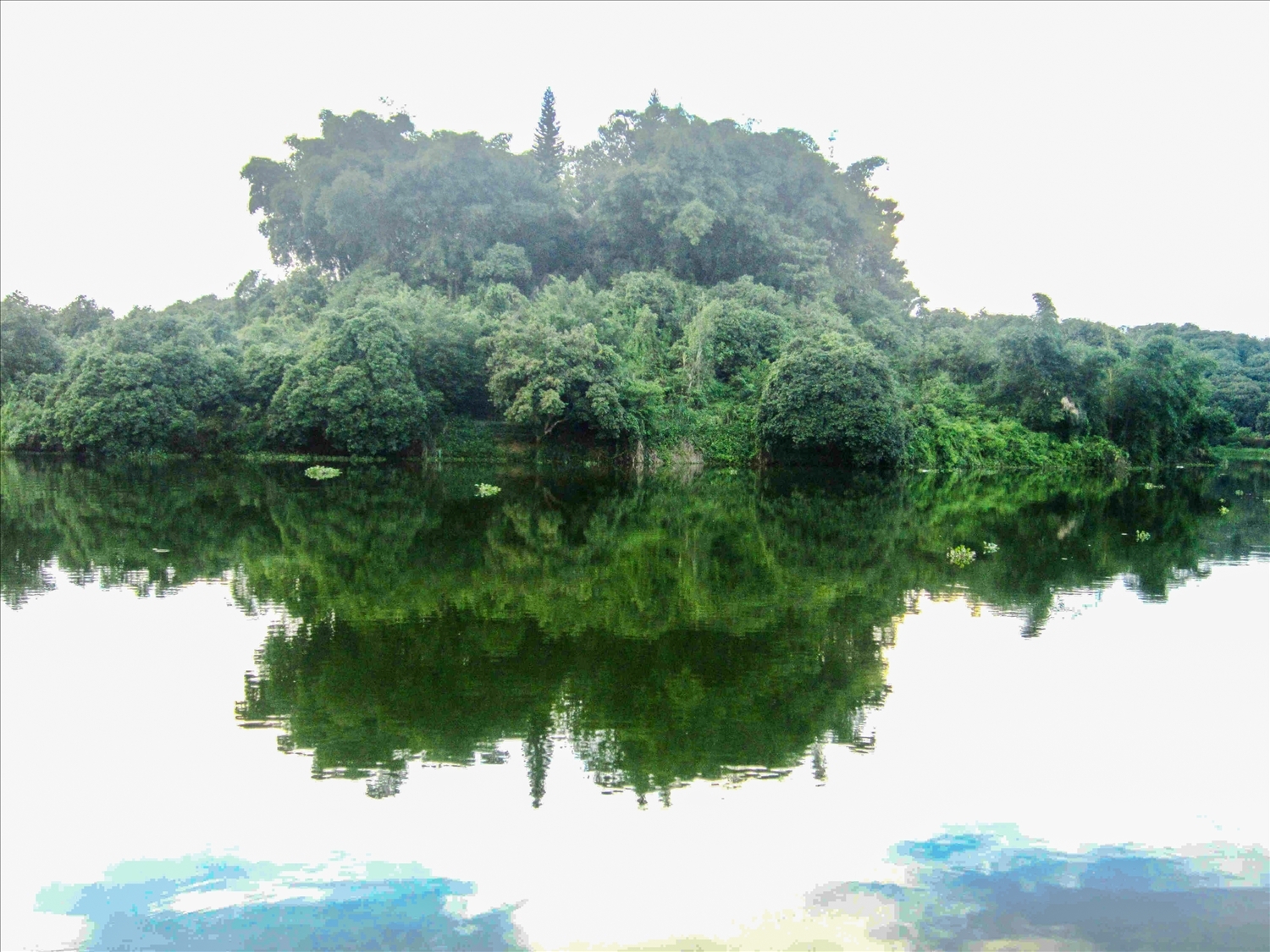 Chiêm ngưỡng đầm Ao Châu in bóng mây trời Chiêm ngưỡng đầm Ao Châu in bóng mây trời