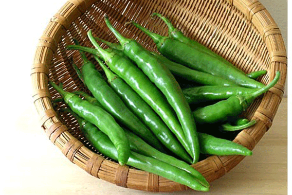 Ớt xanh - “Thuốc bổ” cho sức khỏe Ớt xanh - “Thuốc bổ” cho sức khỏe