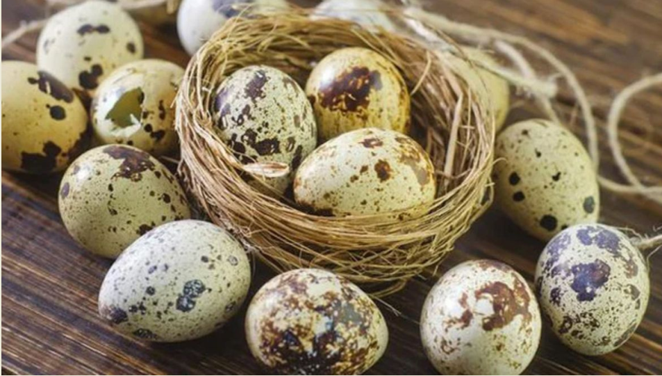 Loại trứng nhỏ, rẻ nhưng mang lợi ích sức khỏe tuyệt vời