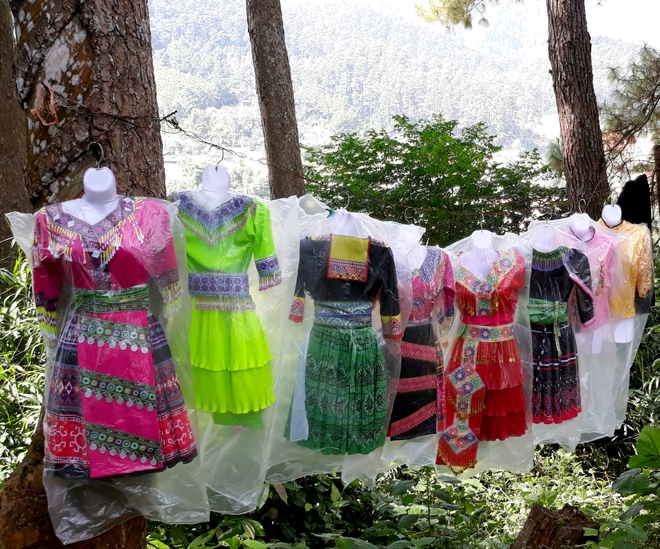 Đồi thông Eo Gió - Điểm đến hòa mình vào thiên nhiên