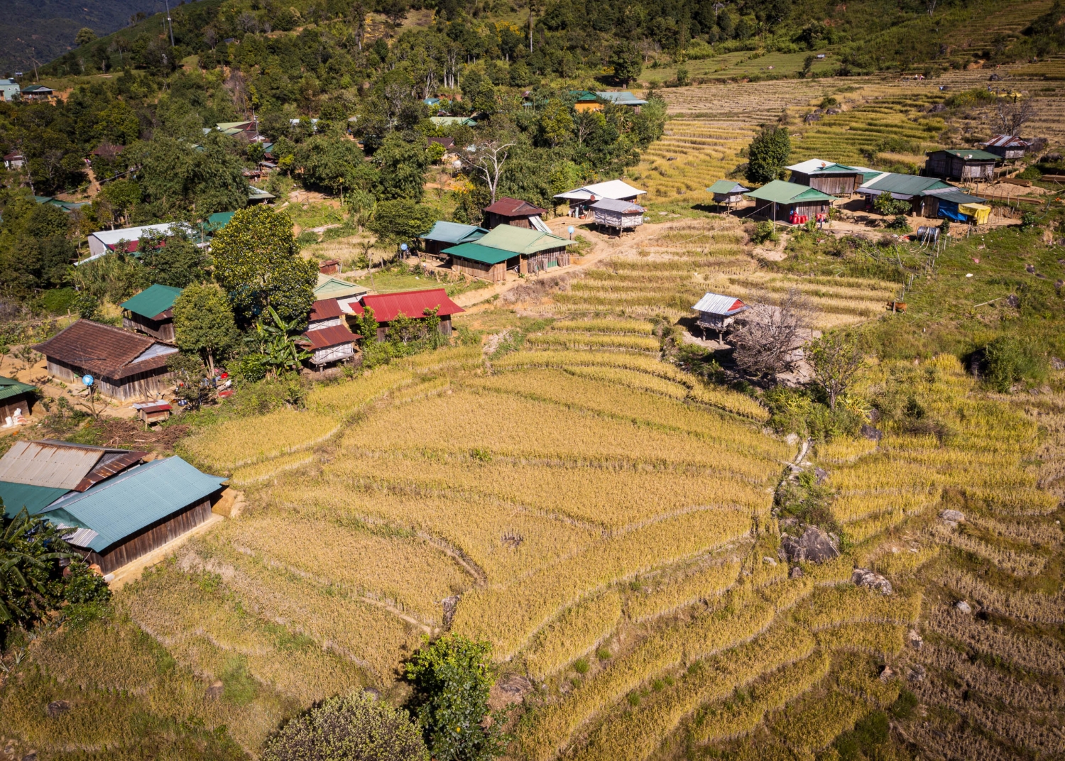 Trải nghiệm Tu Mơ Rông Trải nghiệm Tu Mơ Rông