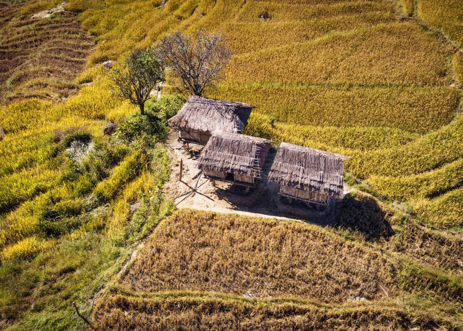 Trải nghiệm Tu Mơ Rông Trải nghiệm Tu Mơ Rông