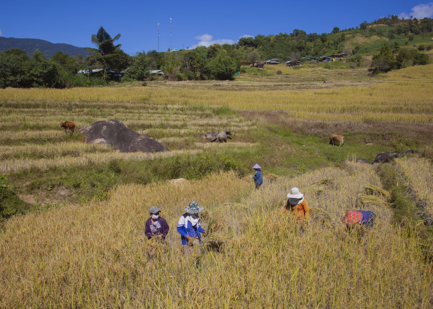 Trải nghiệm Tu Mơ Rông Trải nghiệm Tu Mơ Rông