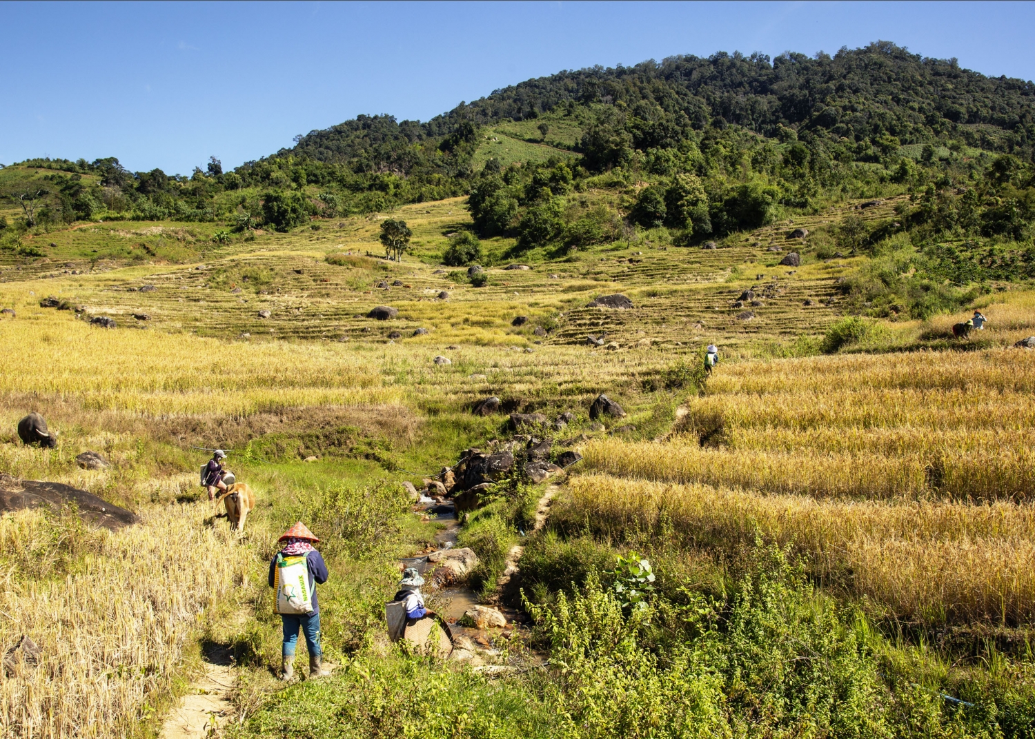 Trải nghiệm Tu Mơ Rông Trải nghiệm Tu Mơ Rông