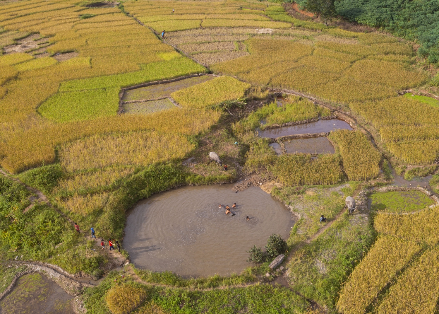 Trải nghiệm Tu Mơ Rông Trải nghiệm Tu Mơ Rông