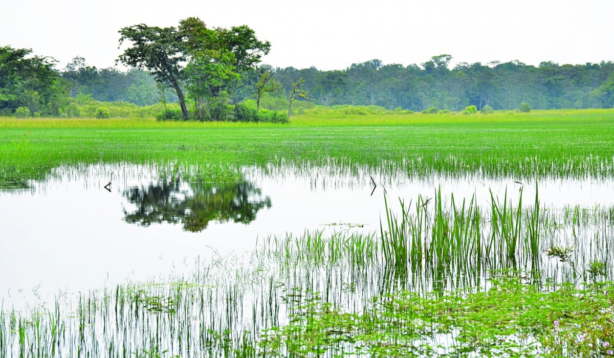 Những điểm du lịch xanh vùng Đông Nam bộ Những điểm du lịch xanh vùng Đông Nam bộ
