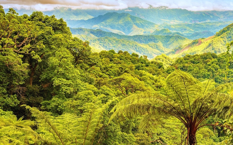 Phong Nha - Kẻ Bàng: Một trong 39 điểm đến năm 2022 Phong Nha - Kẻ Bàng: Một trong 39 điểm đến năm 2022