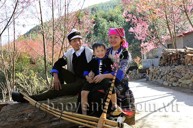 Mù Cang Chải: Tớ Dày nhuộm thắm non cao