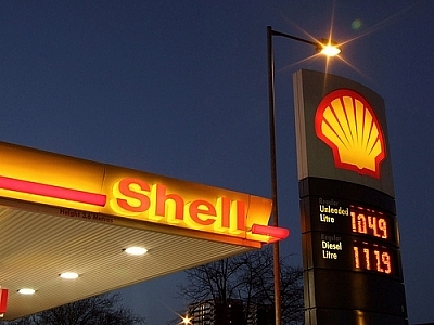 2943-shell-1407117451