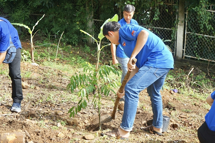 Đoàn Thanh niên Vietsovpetro khu vực Cụm Cảng phối hợp với Thành đoàn Vũng Tàu tổ chức ngày “Chủ nhật Xanh”