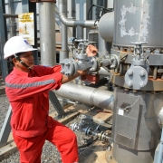 NT2: Triển vọng khả quan, cổ tức hấp dẫn