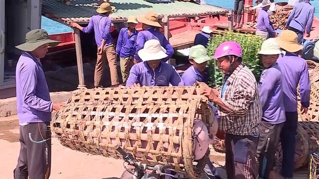 cho tet ra dao tien tieu