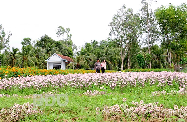Nơi bốn mùa khoe sắc