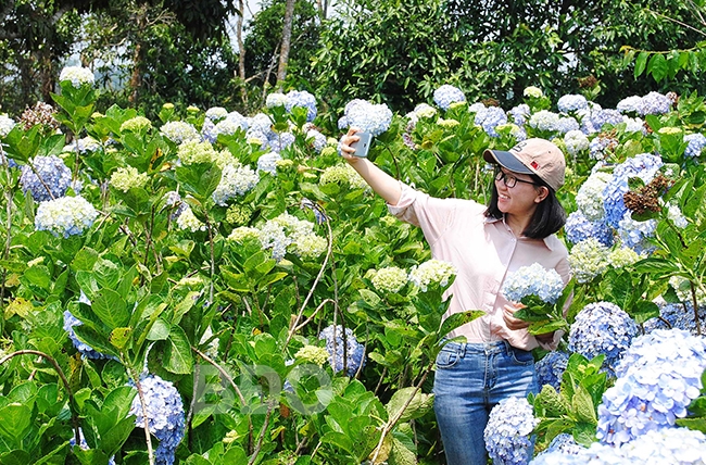 Nơi bốn mùa khoe sắc
