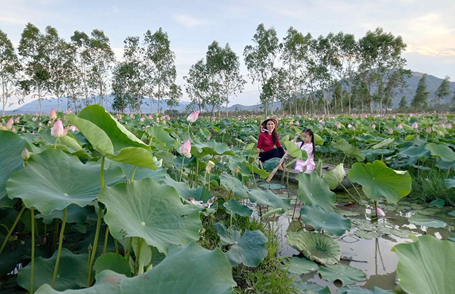 Nơi bốn mùa khoe sắc