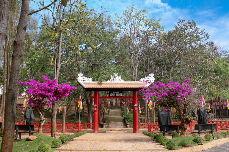 Du xuân vãng cảnh chùa