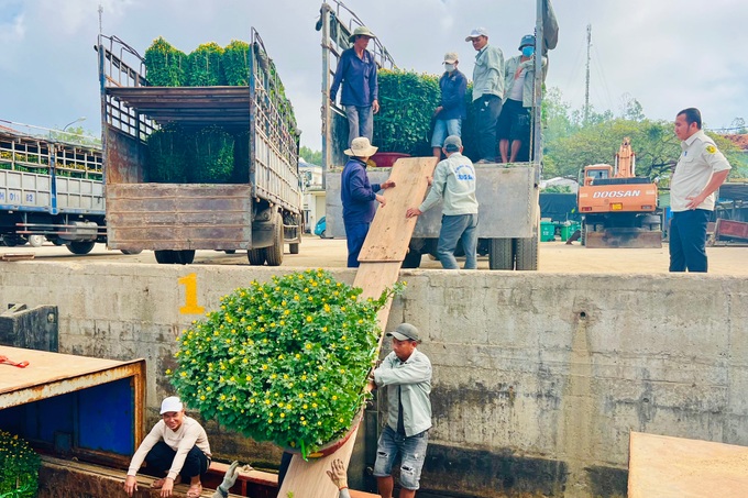 Chở Tết ra đảo Lý Sơn - 2