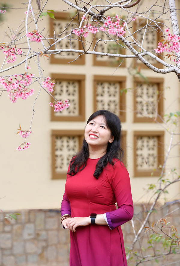 Độc đáo Mai anh đào ở Đại học Đà Lạt Độc đáo Mai anh đào ở Đại học Đà Lạt