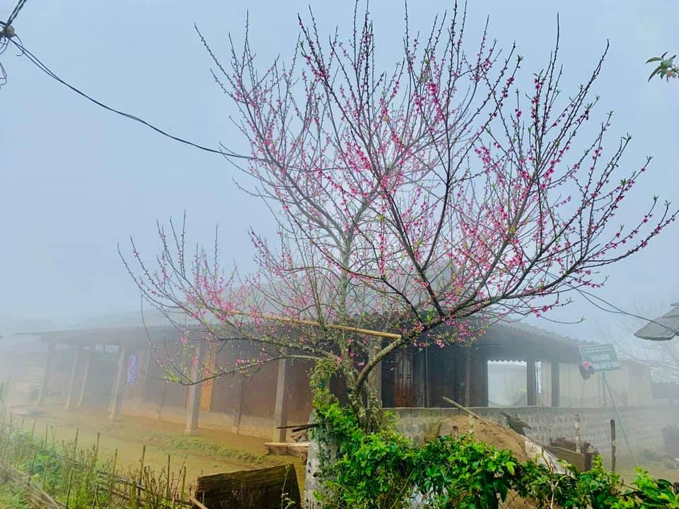 Cu Vai - Bản làng nơi “níu gió vờn mây”