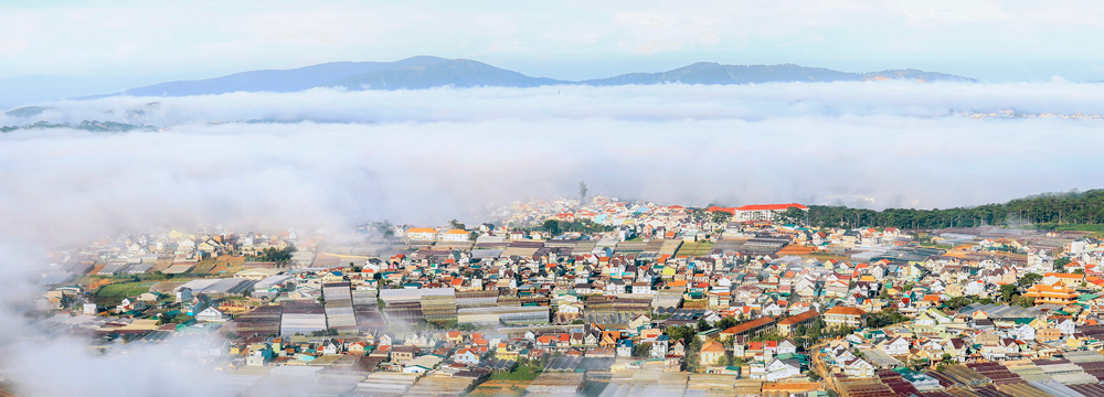 Bảng lảng phố sương Đà Lạt