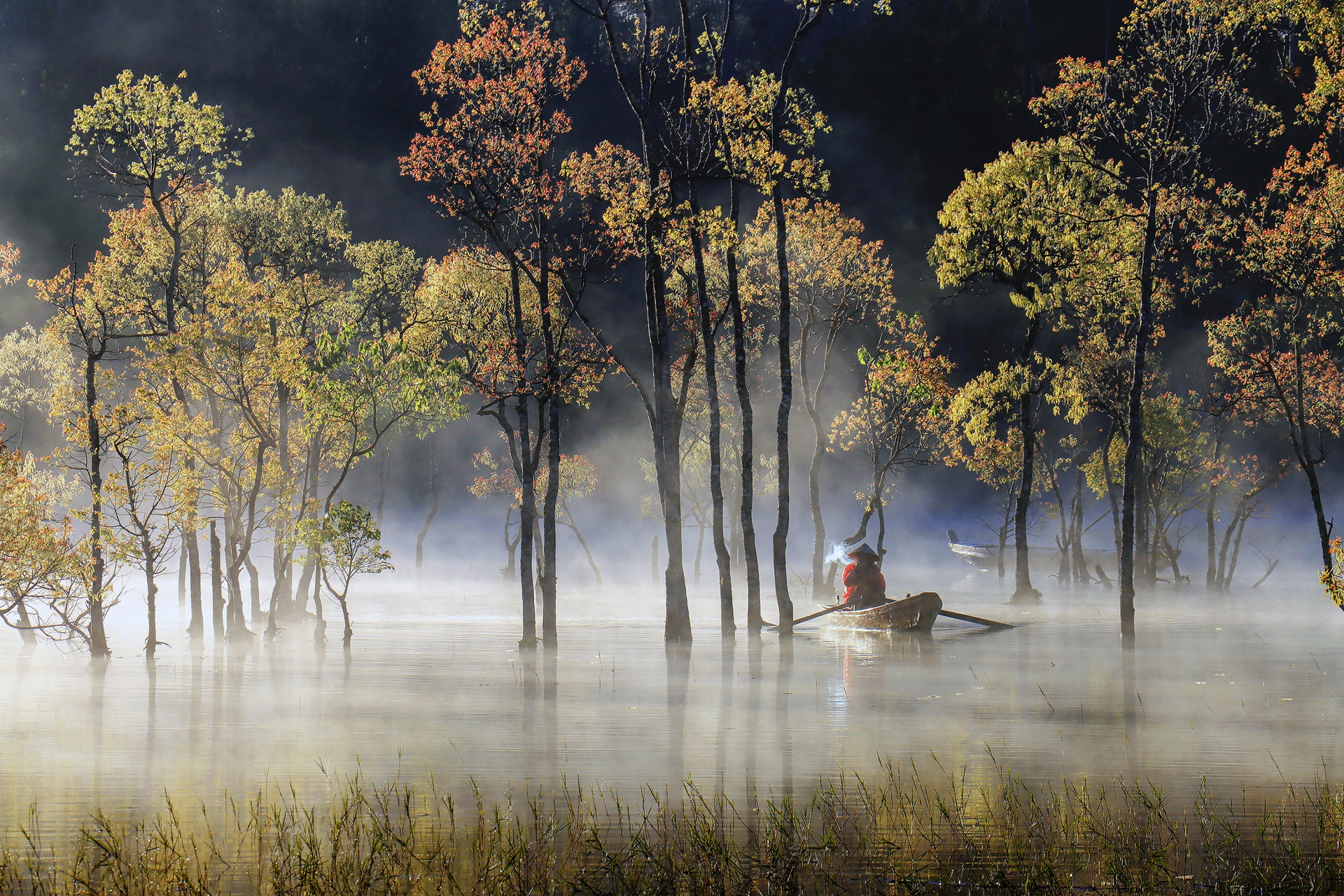 Bảng lảng phố sương Đà Lạt
