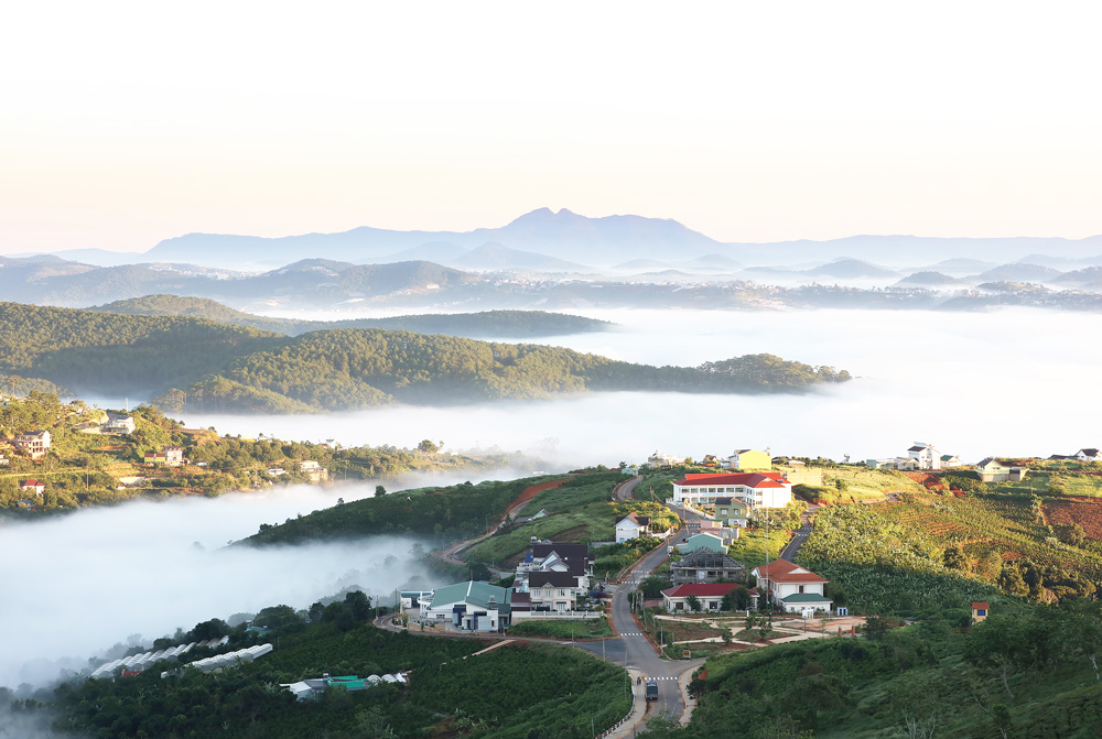 Bảng lảng phố sương Đà Lạt