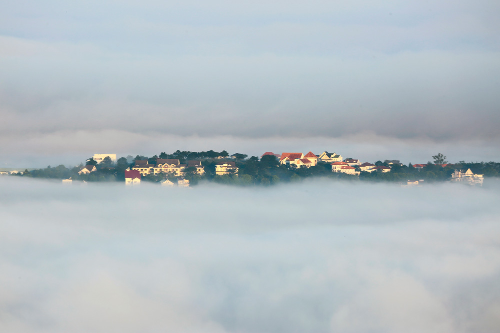 Bảng lảng phố sương Đà Lạt