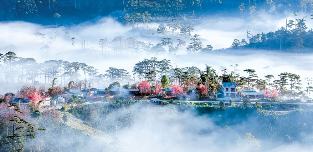 Bảng lảng phố sương Đà Lạt