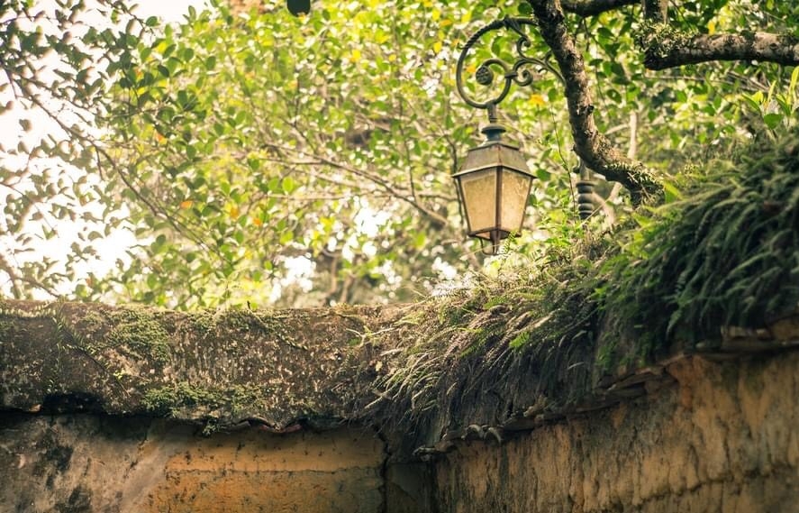 Thăm chùa Bổ Đà - Dấu xưa độc đáo vùng Kinh Bắc Chùa Bổ Đà - Dấu xưa độc đáo vùng Kinh Bắc