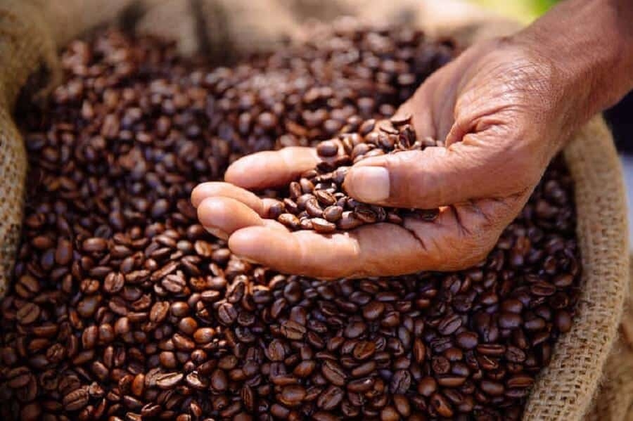 Giá cà phê hôm nay 5/7: Robusta vẫn được hỗ trợ tích cực