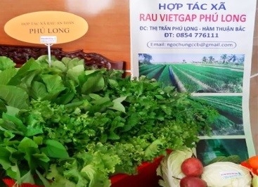 Chiến lược phát triển kinh tế tập thể, hợp tác xã tỉnh Bình Thuận đến năm 2030 Chiến lược phát triển kinh tế tập thể, hợp tác xã tỉnh Bình Thuận đến năm 2030