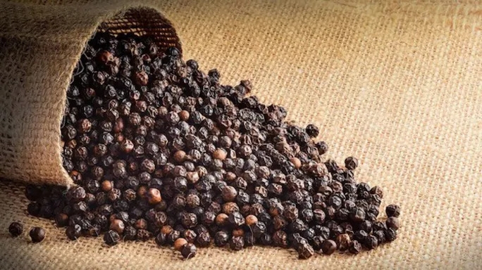 Giá tiêu hôm nay ngày 11/8: Trong nước tiếp đà tăng