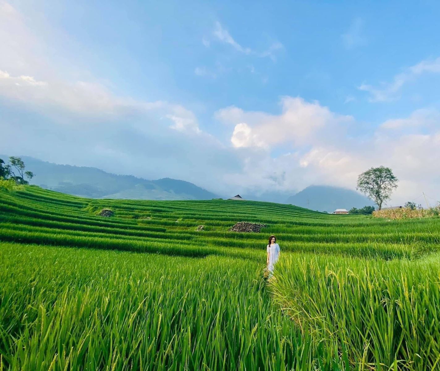 Du lịch Sa Pa tận hưởng mùa hè tuyệt vời của miền Bắc Việt Nam