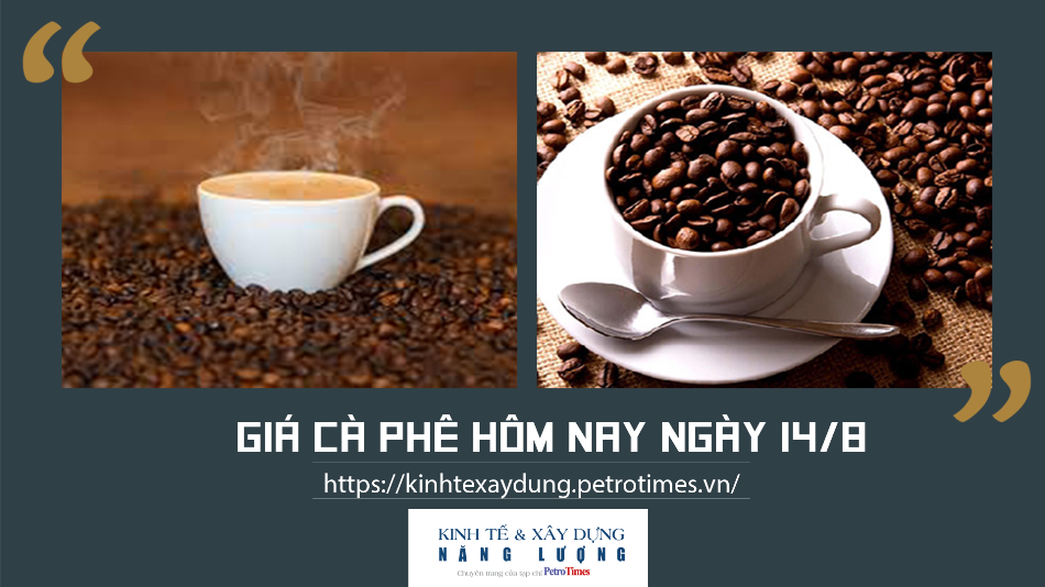 Giá cà phê hôm nay ngày 14/8: Tăng mạnh 600 đồng/kg