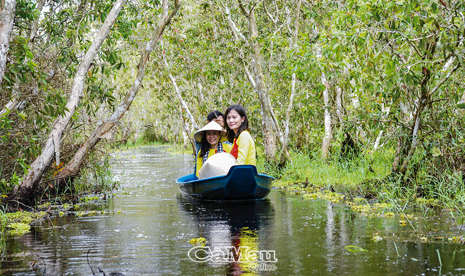Cà Mau: Bơi xuồng ba lá giữa U Minh Hạ