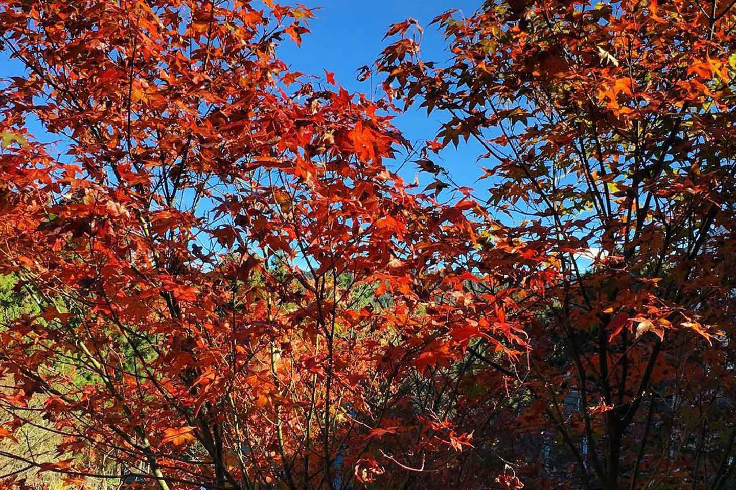 Khám phá những cái Khám phá những cái