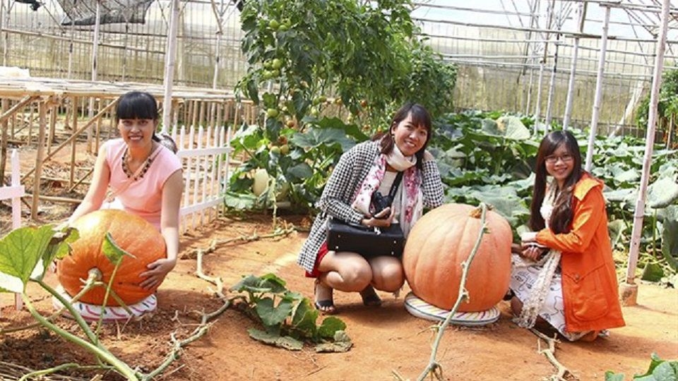 Khám phá những cái Khám phá những cái