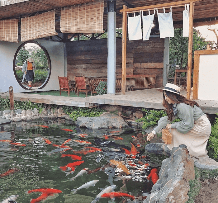 Bạn đã đến “vườn địa đàng” lá phong Đà Lạt chưa