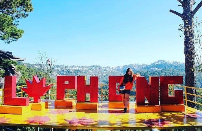 Bạn đã đến “vườn địa đàng” lá phong Đà Lạt chưa