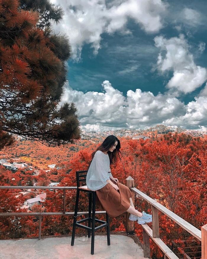 Bạn đã đến “vườn địa đàng” lá phong Đà Lạt chưa