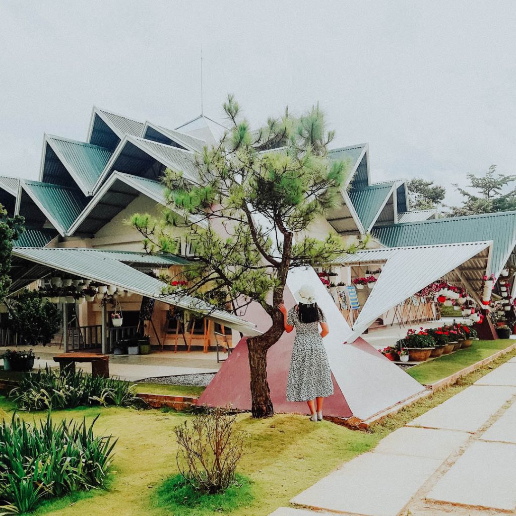 Bạn đã đến “vườn địa đàng” lá phong Đà Lạt chưa